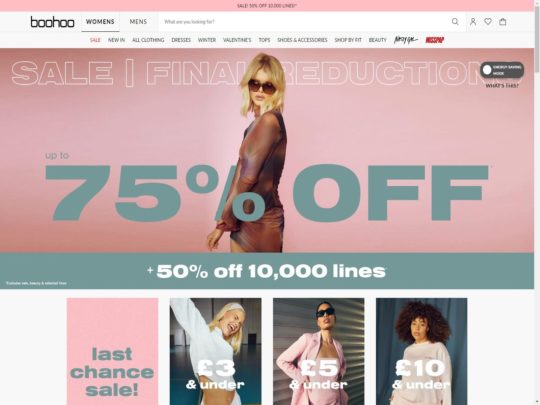 Boohoo review, a site that is one of many popular eCommerce Stores