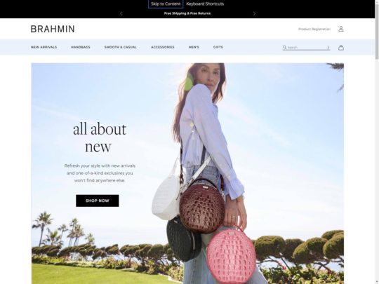 Brahmin review, a site that is one of many popular Popular Handbag Stores
