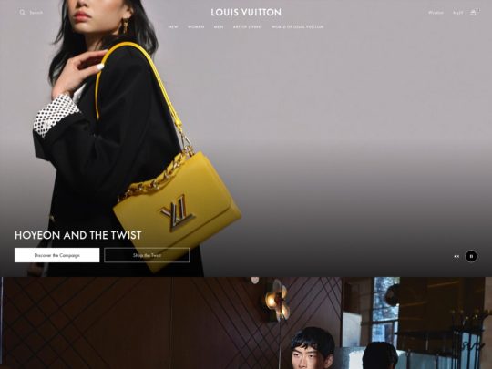 Louis Vuitton Picture
