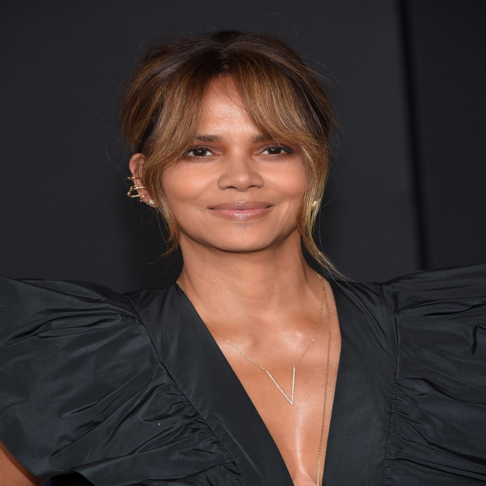 Halle Berry a top celebrity read their bio and more