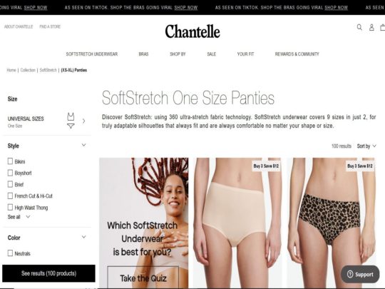 Chantelle Panties review, a site that is one of many popular Women's Underwear Stores
