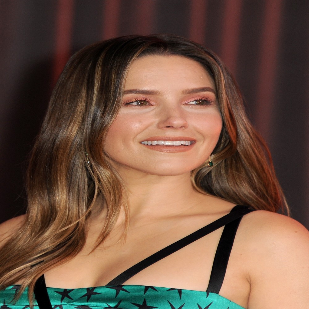 Sophia Bush a top celebrity read their bio and more