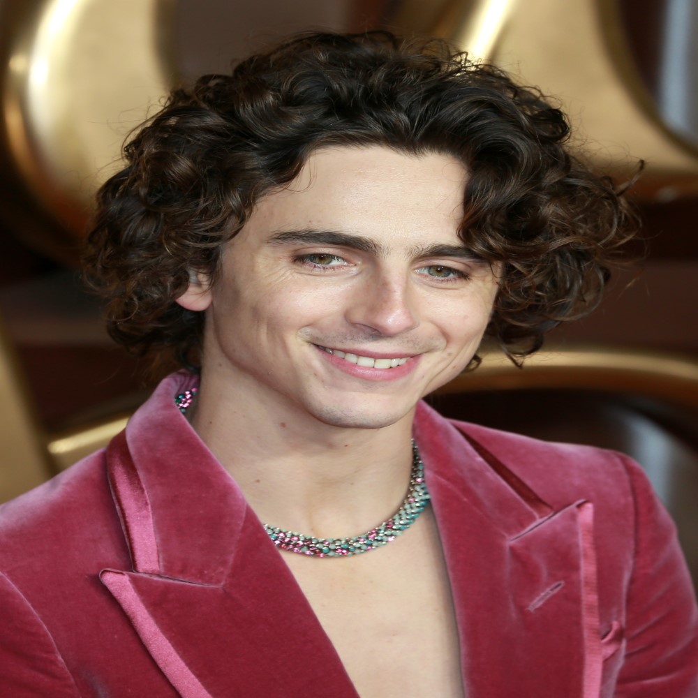 Timothee Chalamet a top celebrity read their bio and more