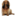 Peter Alexander Site Icon