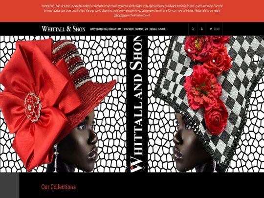Bold, fashion-forward hats and accessories by Whittall & Shon—where vintage glam meets modern elegance.