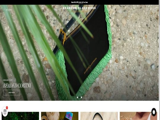 Brandon Blackwood review, a site that is one of many popular Popular Handbag Stores