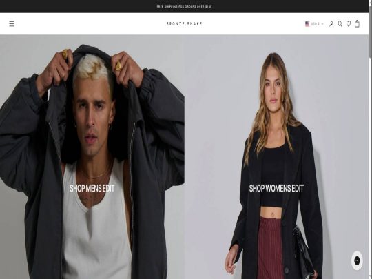 Bronze Snake review, a site that is one of many popular eCommerce Stores