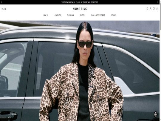 Anine Bing review, a site that is one of many popular Premium Women's Clothing Brands