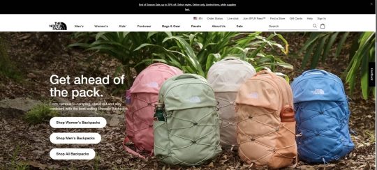 TheNorthFace review, a site that is one of many popular Outdoor Gear Stores