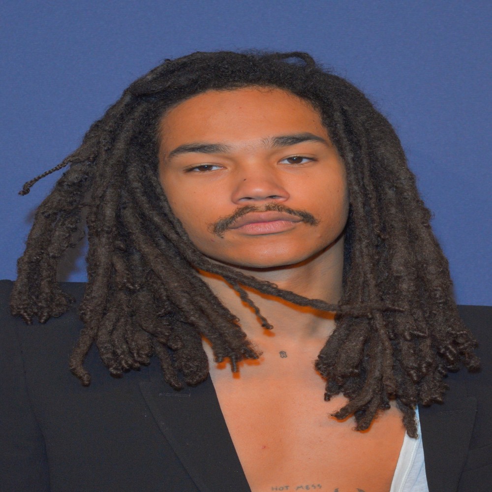 Luka Sabbat a top celebrity read their bio and more
